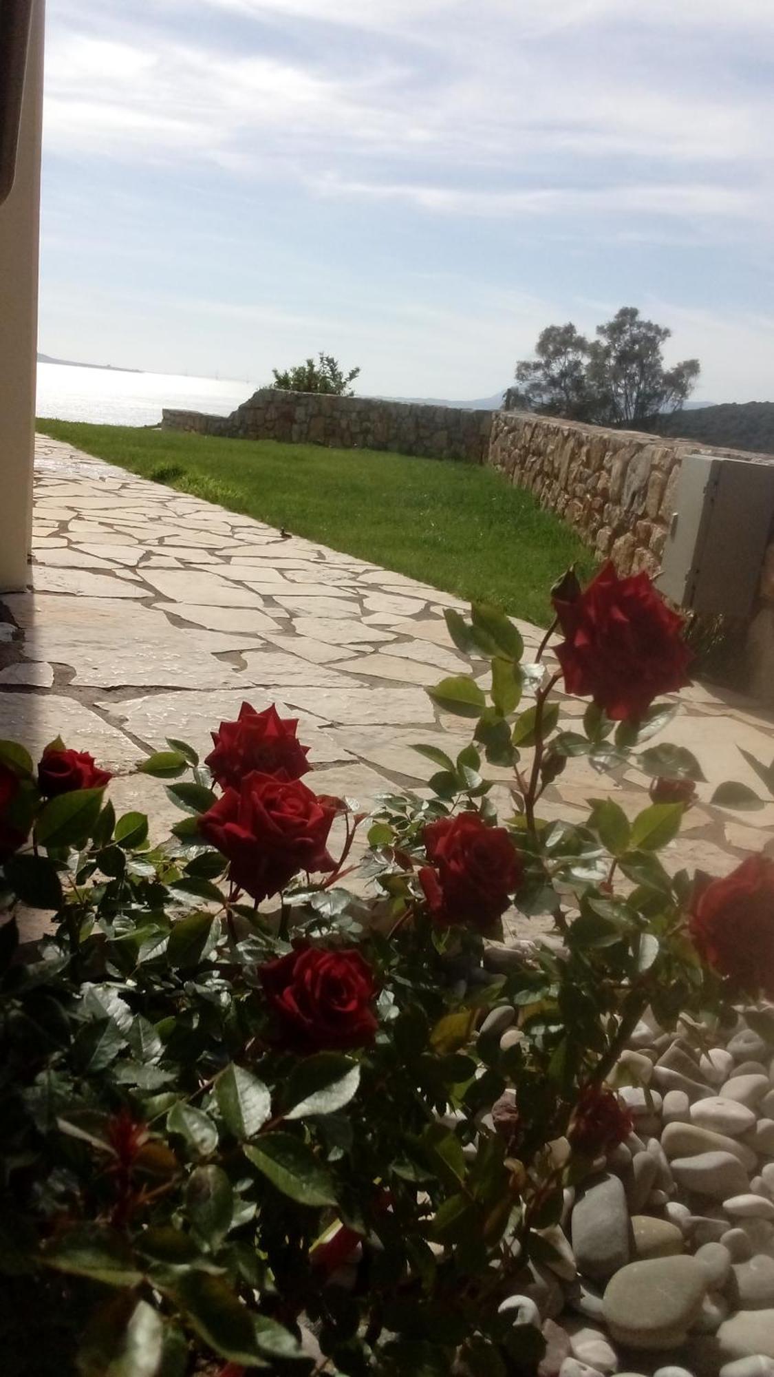 Princess Of Blue Eagles Retreat Skaloma المظهر الخارجي الصورة